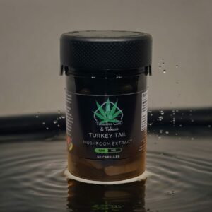 Turkey Tail Mushroom Capsules